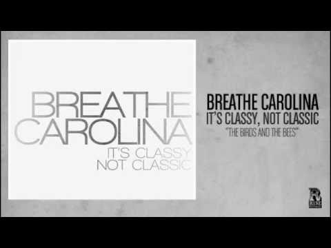 Breathe Carolina - The Birds and The Bees
